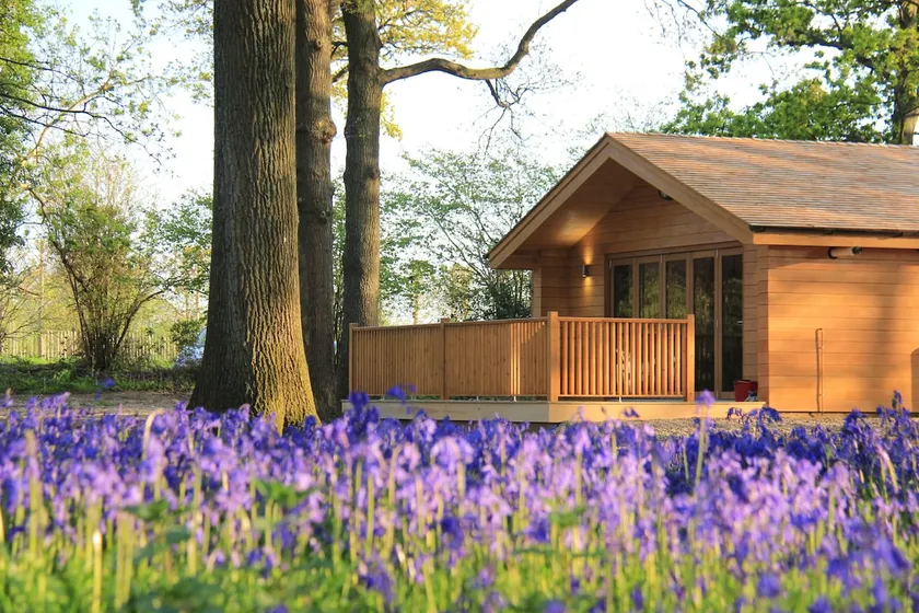 Bluebell Lodge in West Sussex, close to Brighton - Image 1