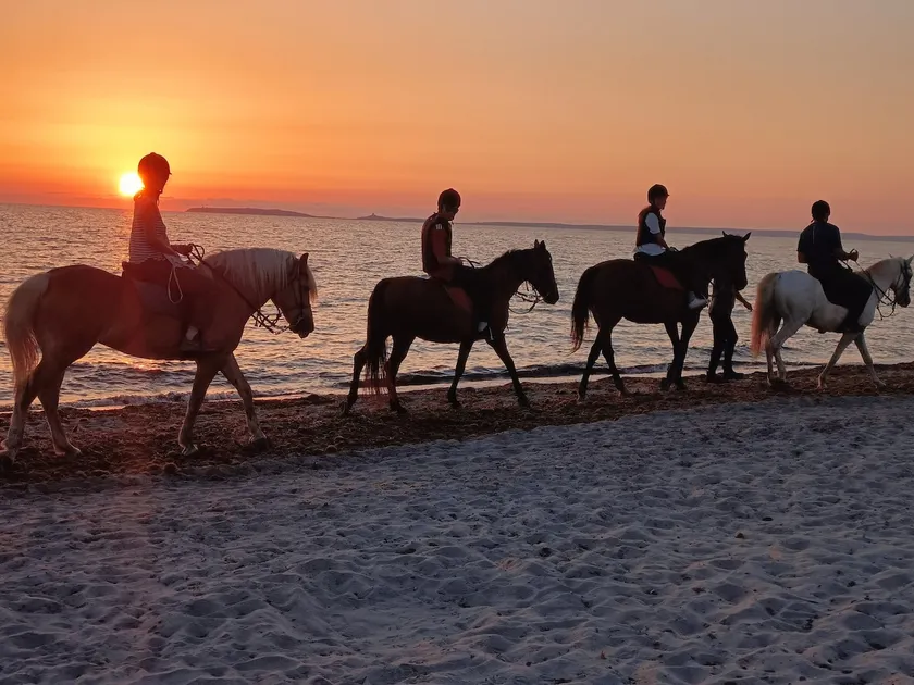 L'oasi del relax arborea riding to horse - Image 1