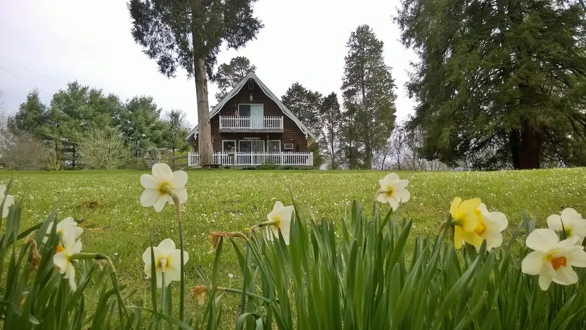 College Hill Cottage - Image 1