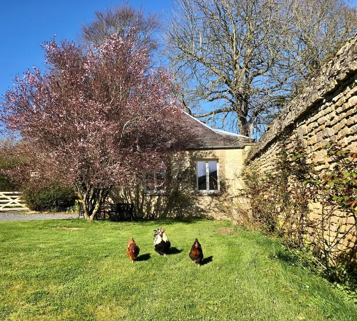 Quiet cottage and its mini farm - Image 1