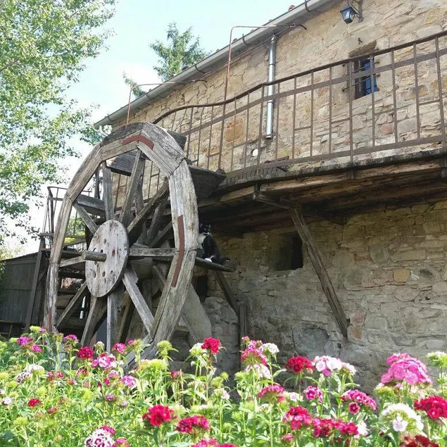 Délicieux hameau en Toscane - Image 1