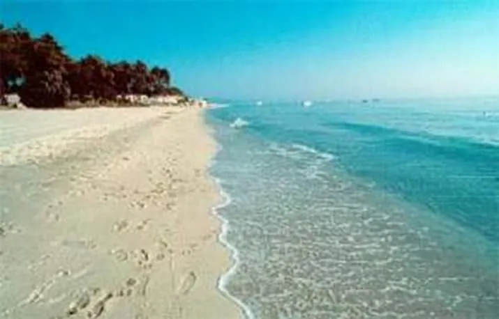 Beach Bungalow T.C - Image 1