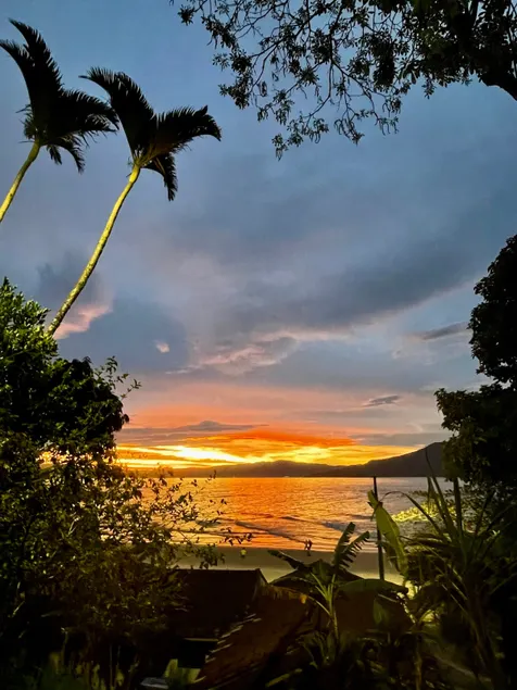 Paradise on the Island of Magic - Image 1