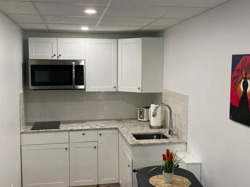 Luxury one bedroom in a modern basement - Image 1