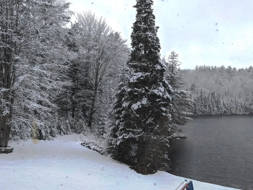 Blue Loon Cabin: Lakefront in White Mountains - Image 1