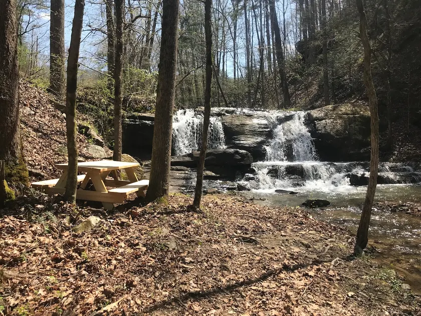 Cabin 2-Allegheny Falls-Mountain View -Private Waterfall- No Stairs-Brand New - Image 1