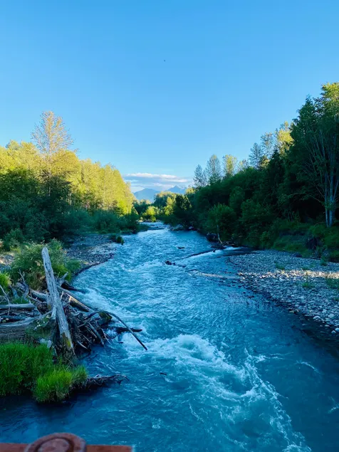 Cozy cottage near Olympic National Park, hiking trails & Dungeness River - Image 1