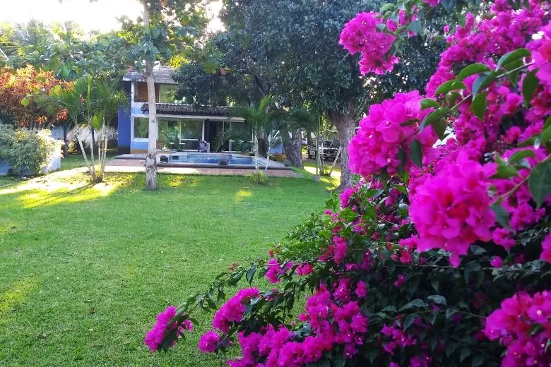Escape to La Antigua: pool, river and peace - Image 1