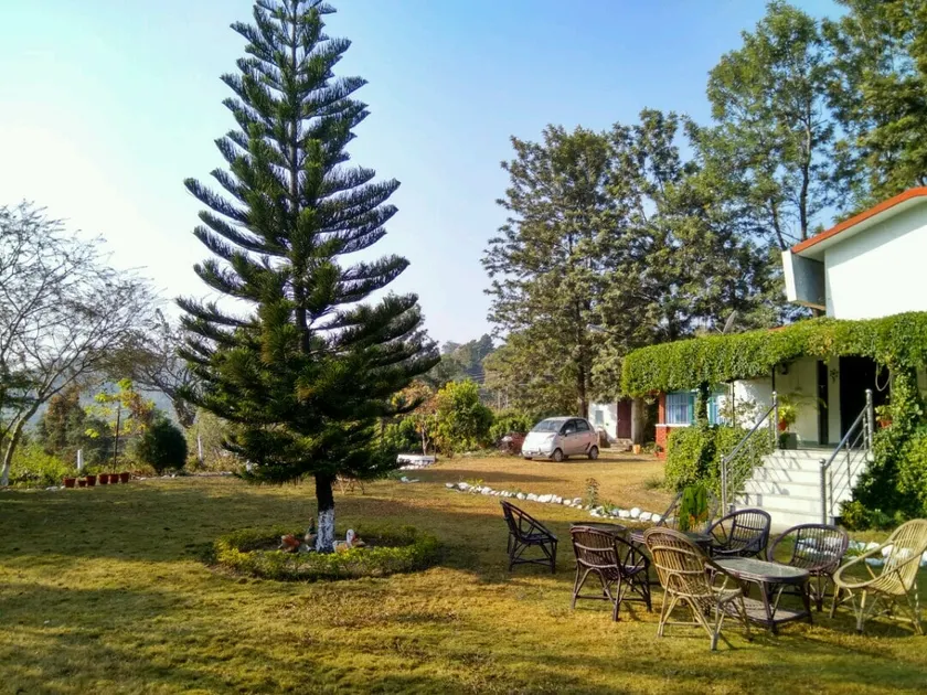 5 rooms heritage bungalow in the midst of forest - Image 1