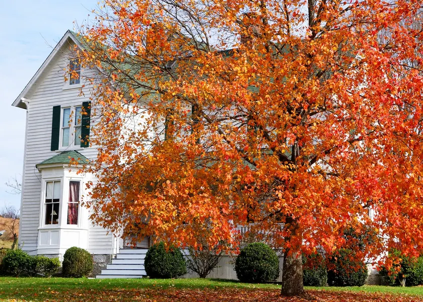 1890 Victorian Farmhouse - Image 1