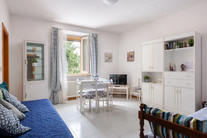 Anna's nest - Image 1