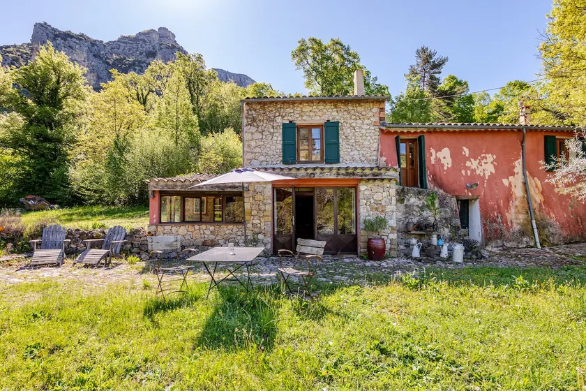 Chêne - Image 1