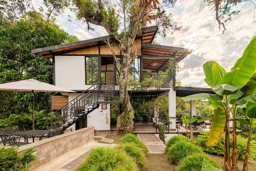 Forest Cabin - Pool & Waterfall - Image 1