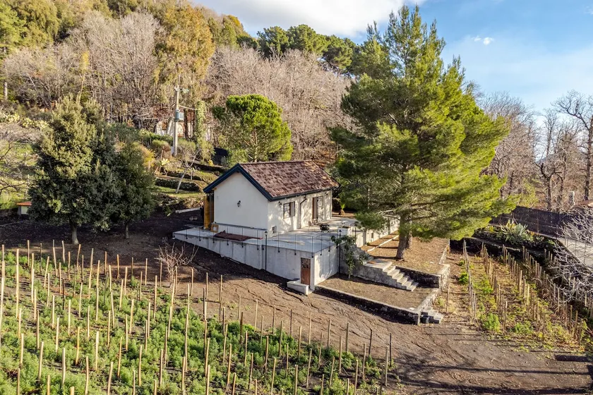 Cozy Home with Private Vineyard - Image 1
