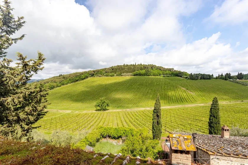 Chianti Essence Apartment - Image 1