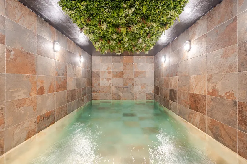 Luxury InTENSE Suite • Private Spa, Swimming Pool & Tranquility - Image 1