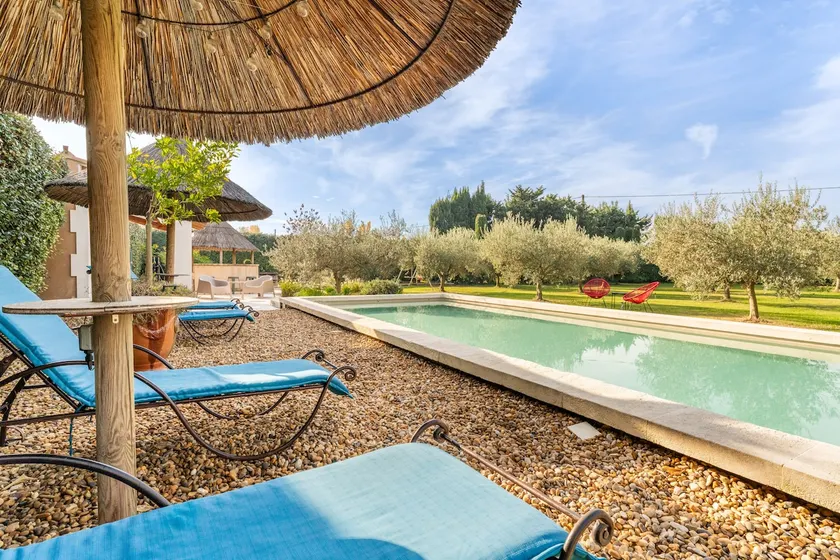 Beautiful house amid the olive trees - Image 1