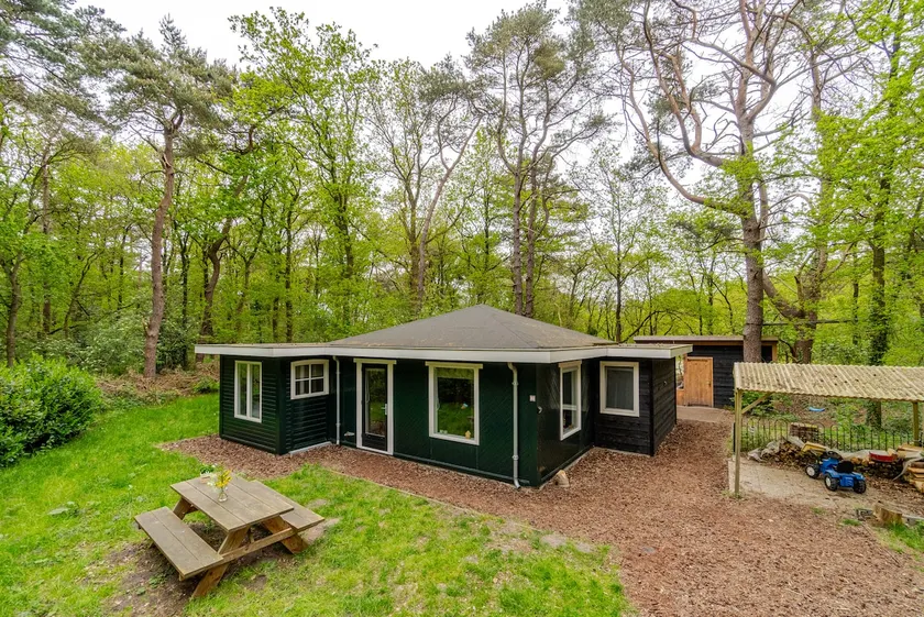 Charming forest cottage surrounded by peace and space! - Image 1
