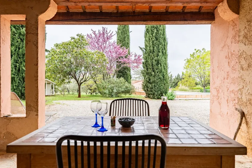 The Ribias Olive Grove - Image 1