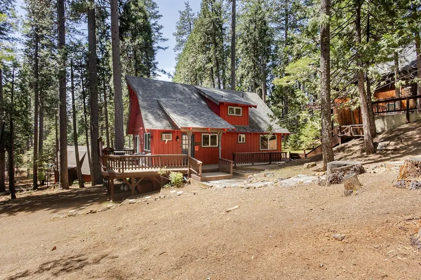 Black Bear Den Great for families, friends, dogs! - Image 1