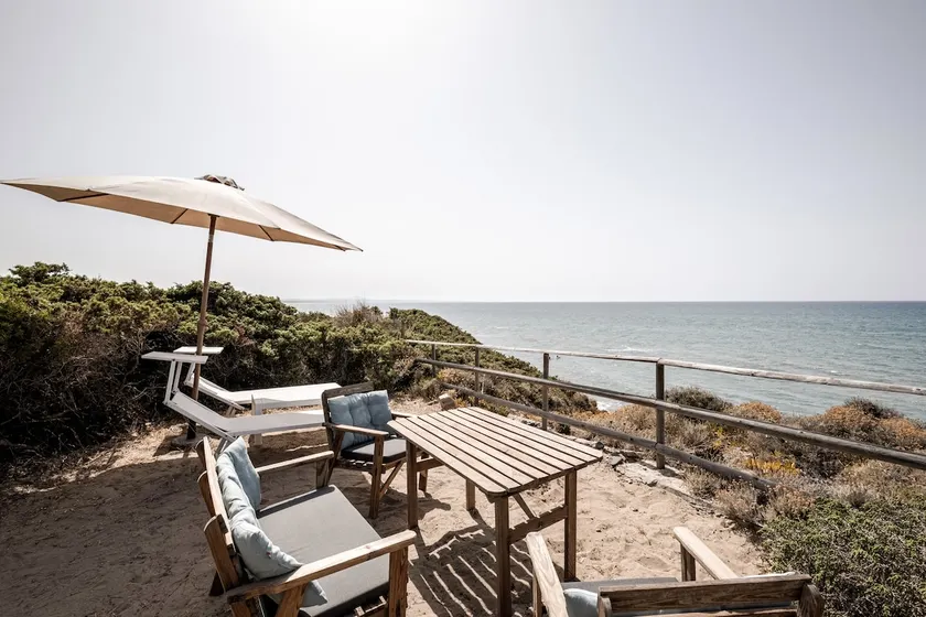 On the sea between junipers - Image 1