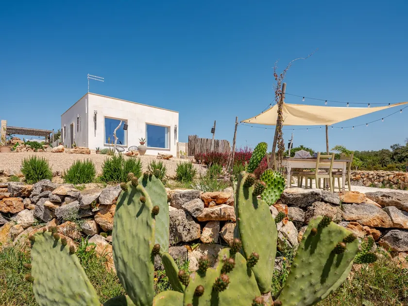 Villa with sea views near Punta Proscuitto - Image 1