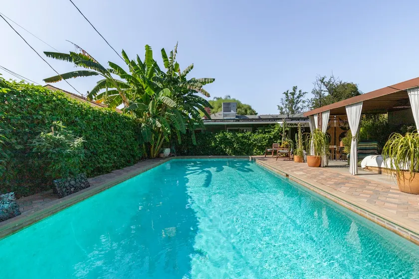 Plant Lover's Paradise: Jacuzzi/Pool, 420 Welcome - Image 1
