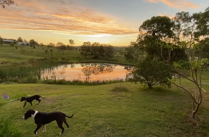 Wallarobba BnB Farm Stay. (Dog Friendly) - Image 1