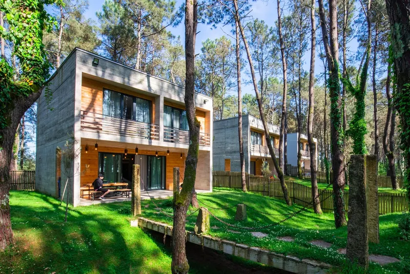 Kaprovani “Pine Grove” Bridge House <>110M to Sea! - Image 1