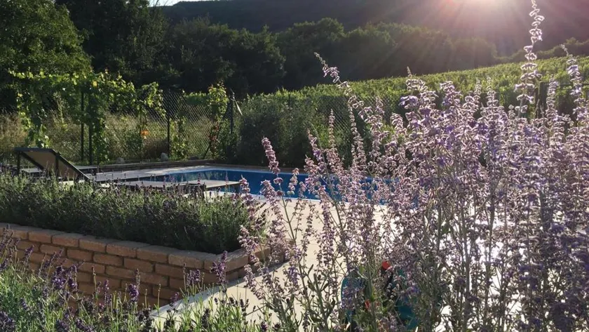 cottage with private swimming pool - Image 1