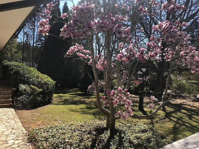 Zelma's Cottage - Leura Escape - Image 1