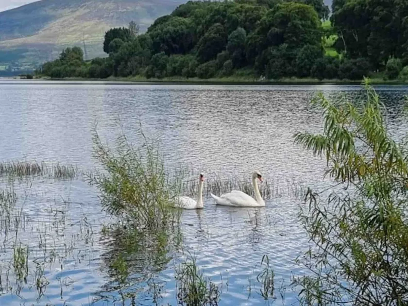 Apt Blessington Wicklow easy access Dublin Kildare - Image 1