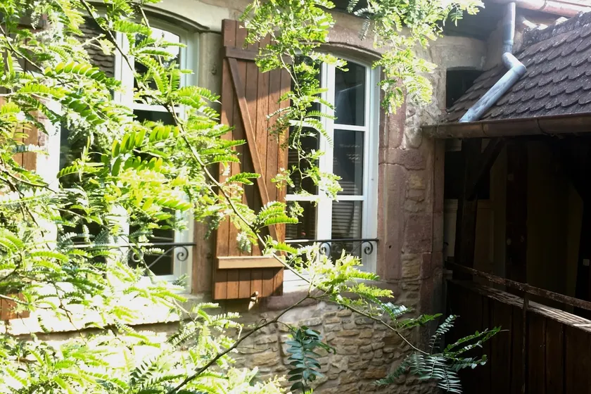 BEAUTIFUL GITE IN TURCKHEIM WITH VINEYARD VIEWS - Image 1