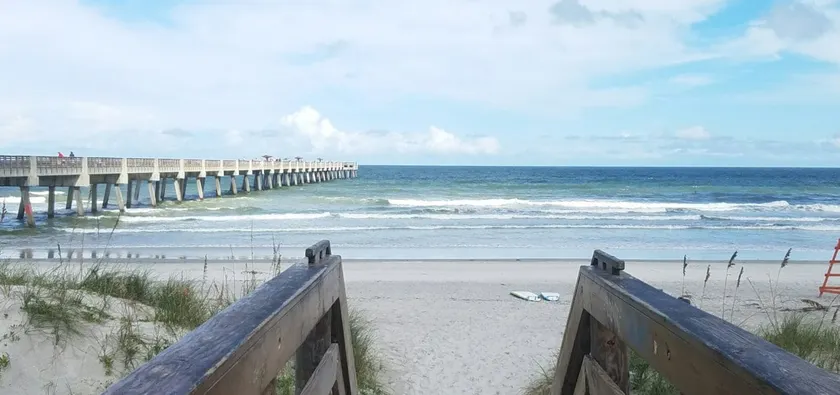 Jacksonville Beach Seashells By The Seashore - Image 1