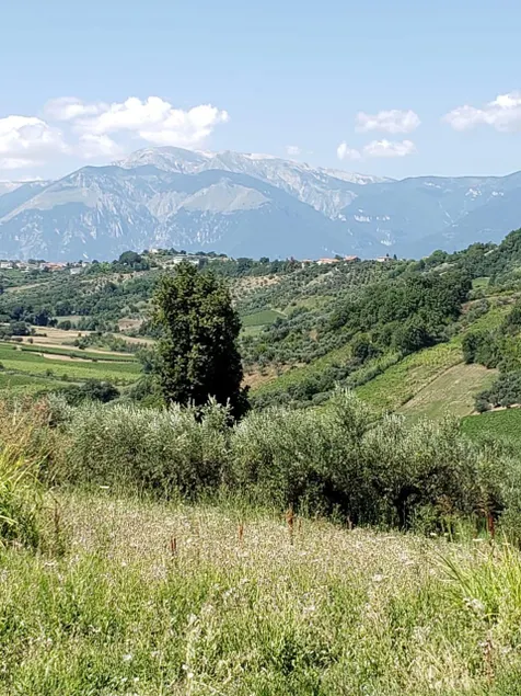 Masseria S. Maria dei Mesi: relaxation between the sea and the mountains - Image 1