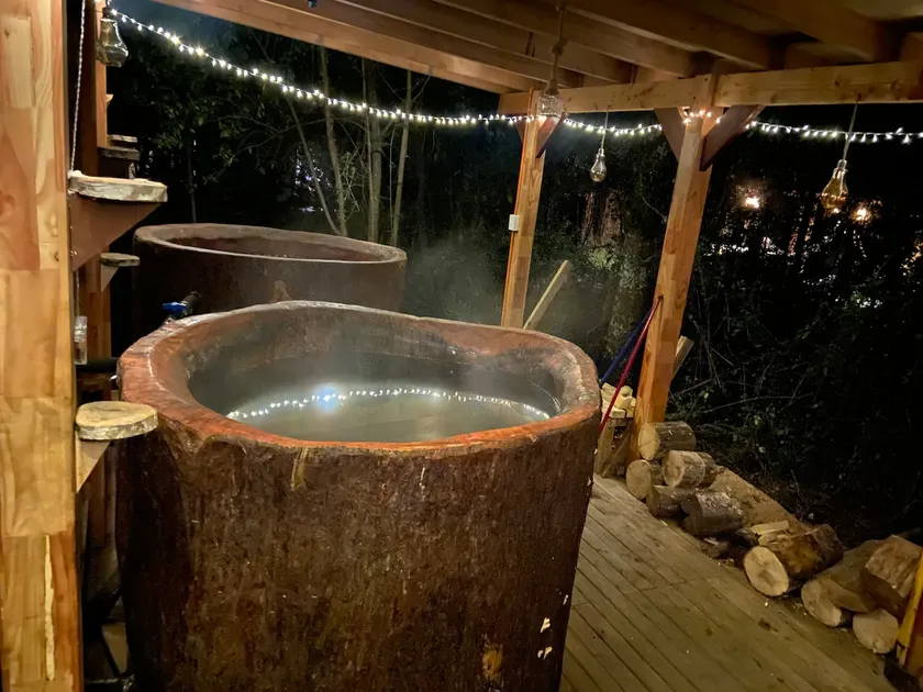 2Villarrica - Pucon (Lemu_Lodge) - Image 1
