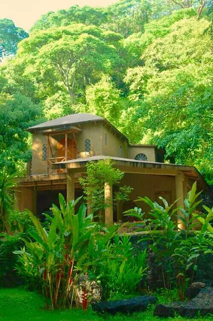 Royal turkey sanctuary. Casa Chalacas - Image 1
