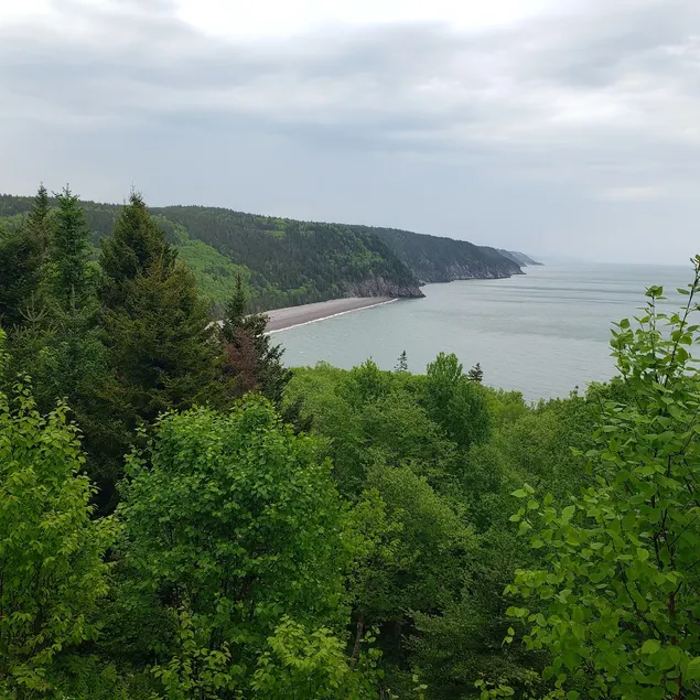 Cozy Apartment on the Bay of Fundy. - Image 1