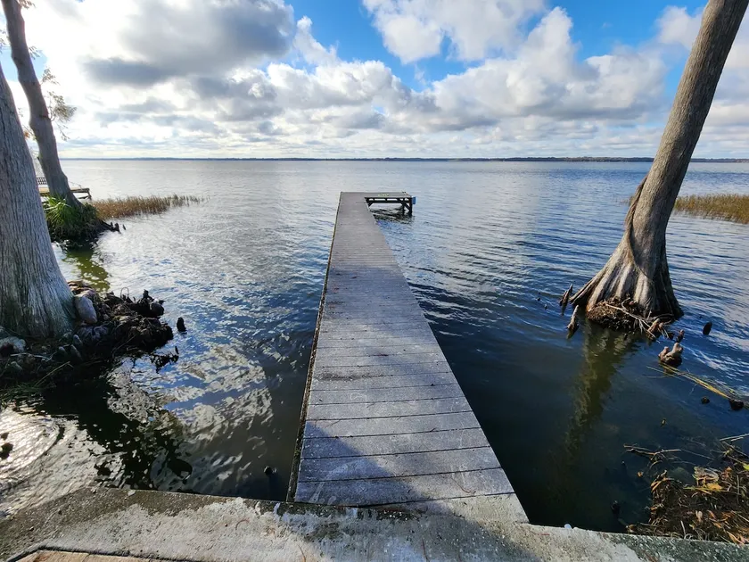 Paradise on Lake Harris Apt #102 - Image 1