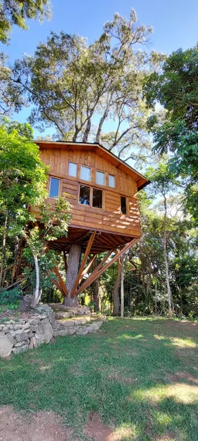 Treehouse | Experience at the top of Mantiqueira - Image 1