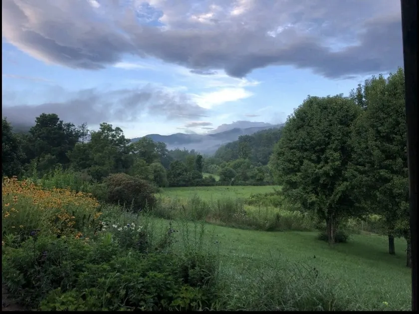 Whistlepig Farm! 20 min Avl/10 min BR Pkwy/5 acres - Image 1