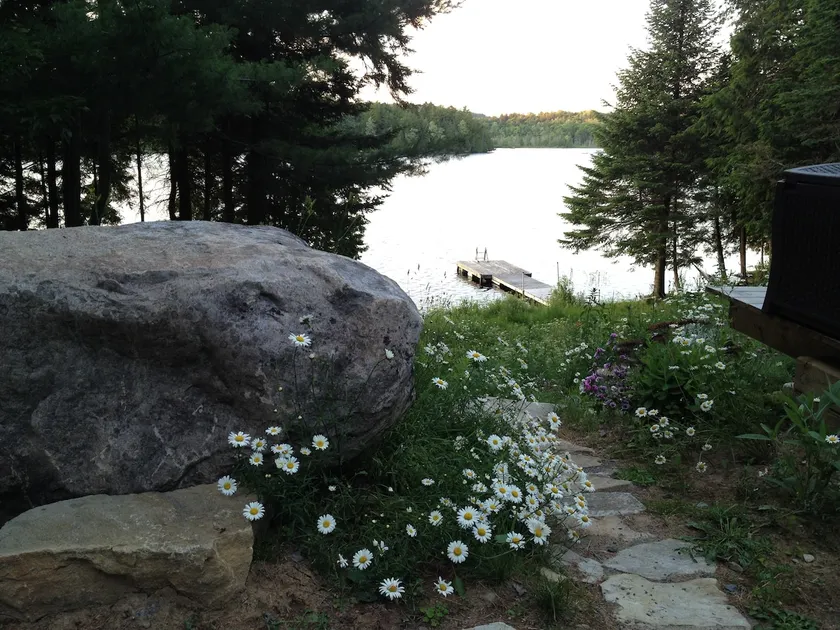 Beautiful Lakefront Cottage & Guest House - Dunany - Image 1