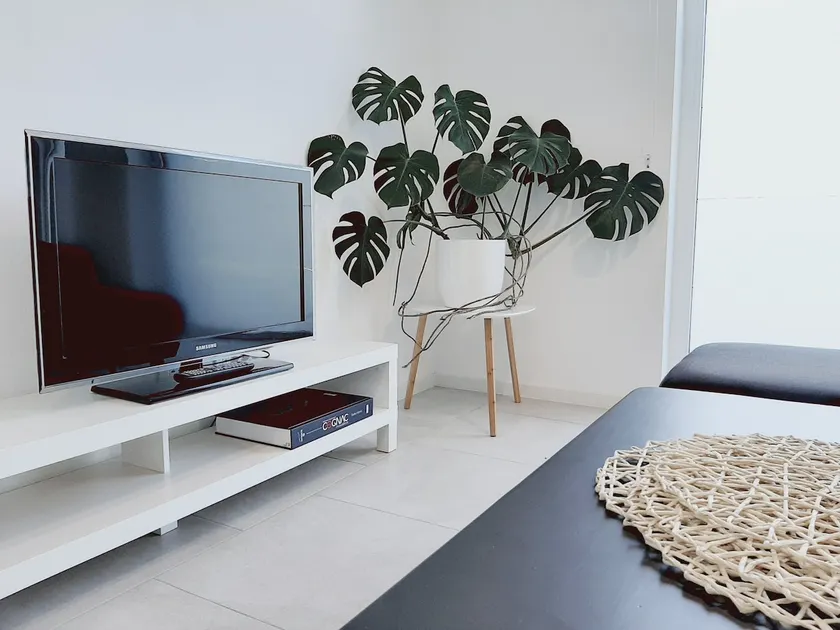 Green Bee Apartment - Image 1