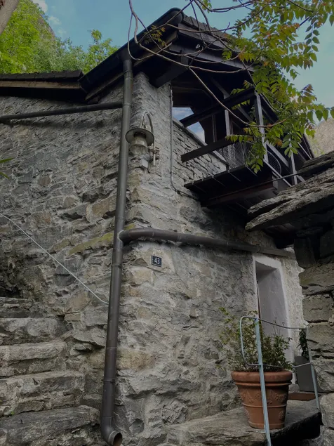 Rustico Leoro - Image 1