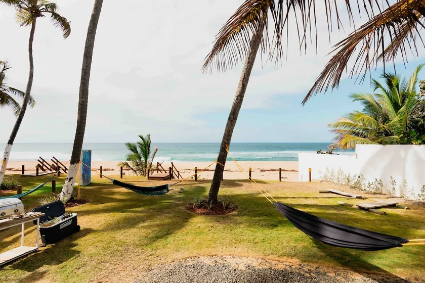 White Nest at the Beach - Image 1