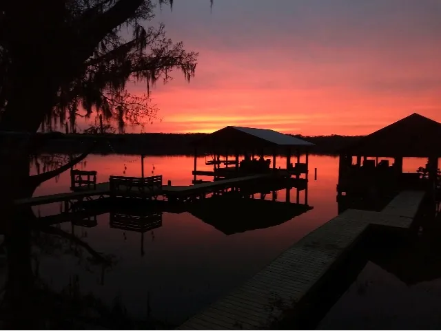 Tensaw Island River Retreat - Image 1