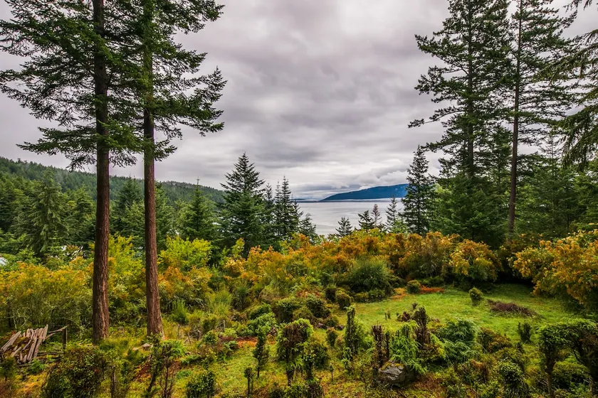 Orcas Island, Sea Acres Lodge #266 - Image 1