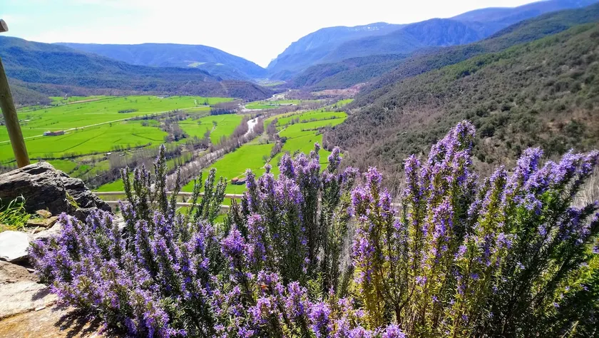 A balcony in the Pyrenees - Image 1