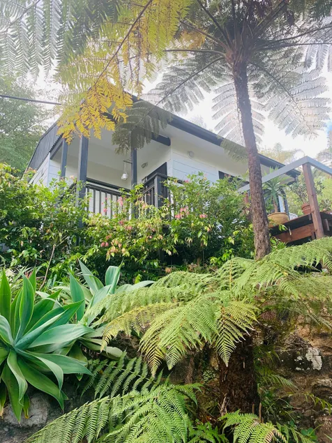Emerald Beach Eucalyptus Cottage - Stay 3 & Save - Image 1