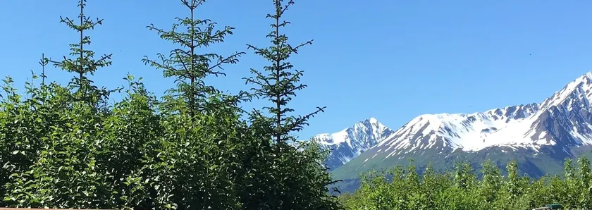 Glacier Creek Cabins - Image 1